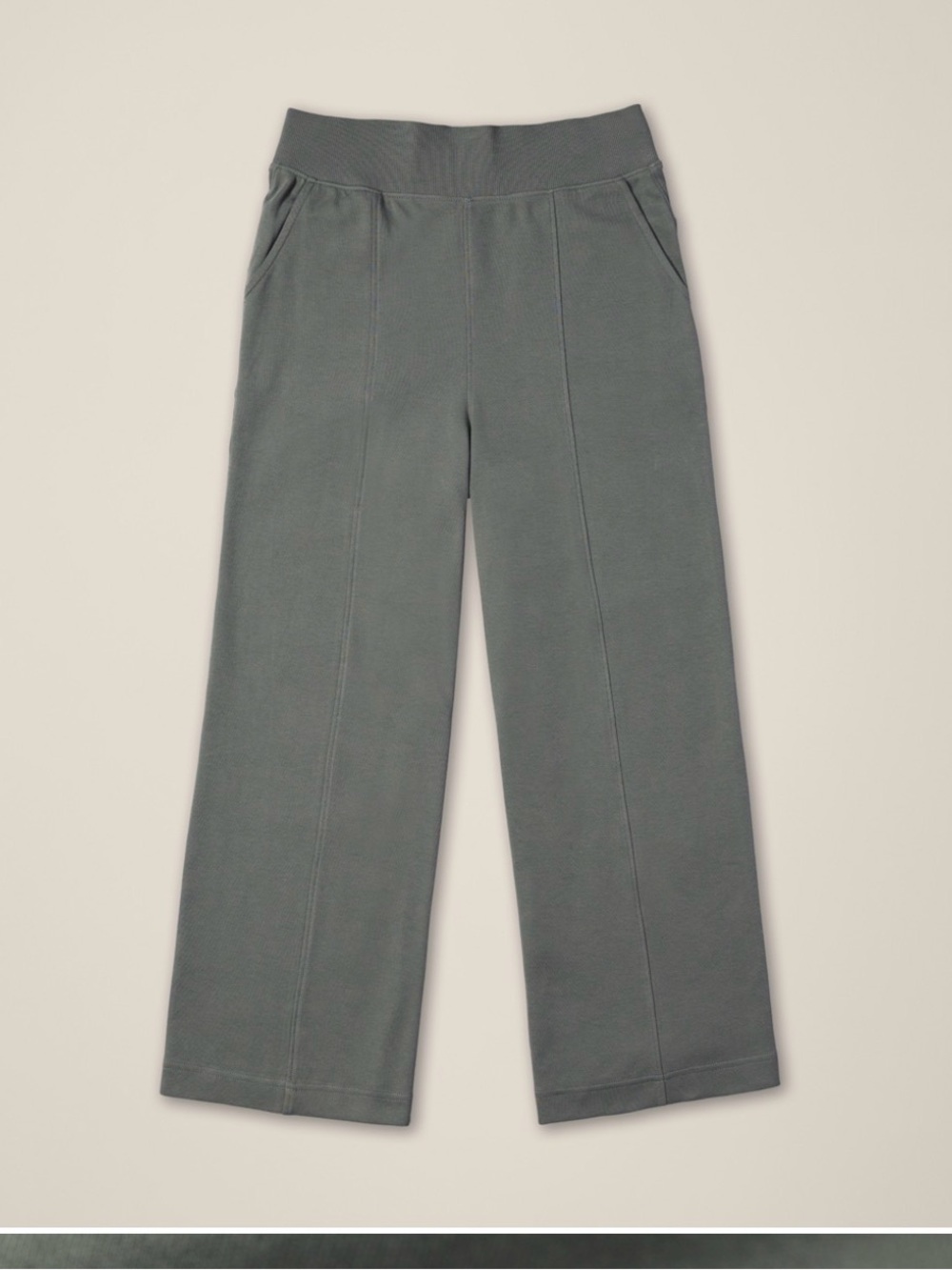 Nwt pact airplane pi tuck wide leg pant L